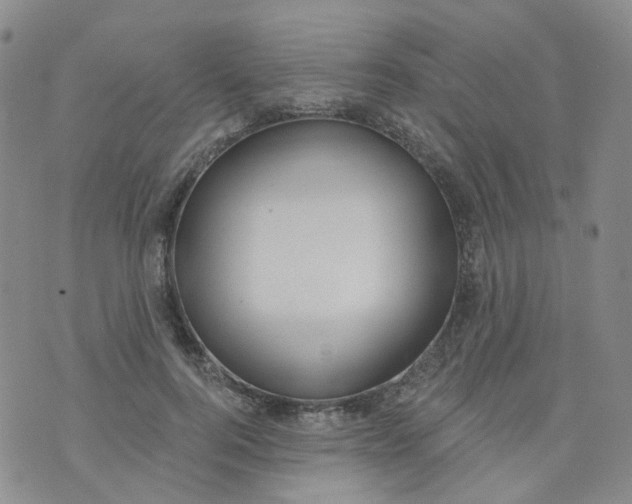 X0000073930744200609011834