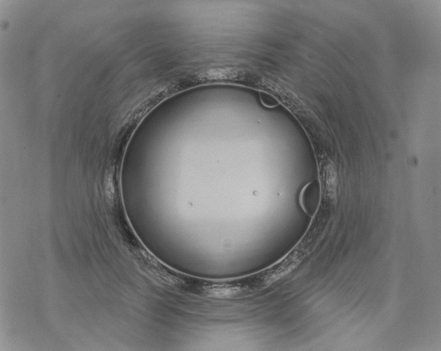 X0000073930746200609011834