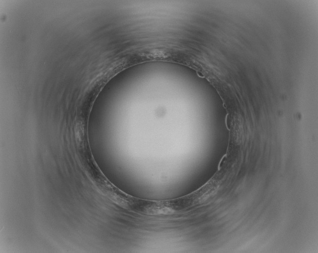 X0000073930747200609011834