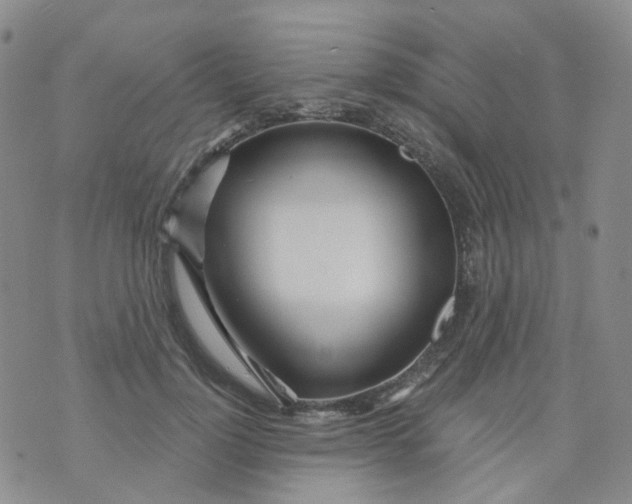 X0000073930748200609011834