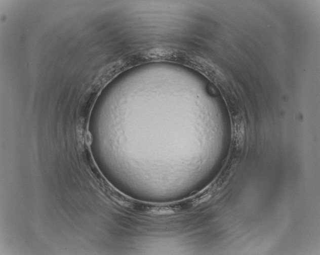 X0000073930749200609011834