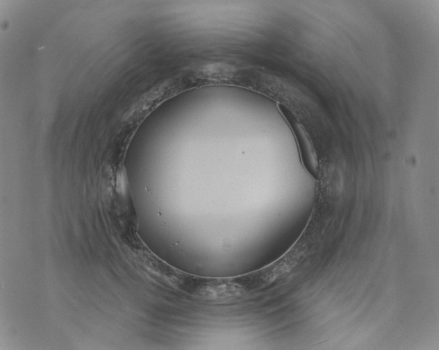 X0000073930752200609011834