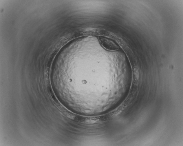 X0000073930753200609011834