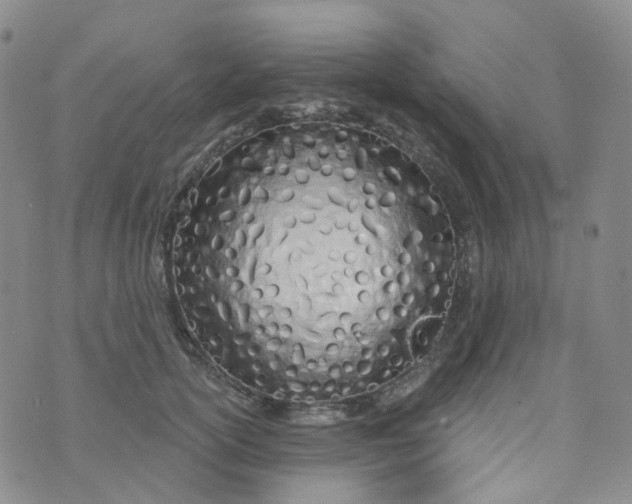 X0000073930754200609011834