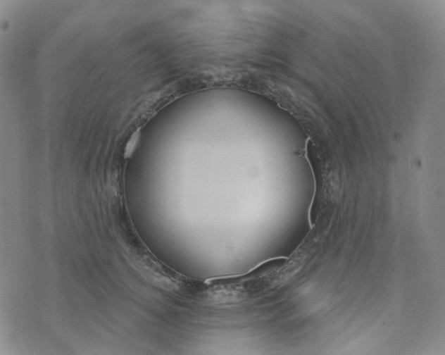 X0000073930756200609011834