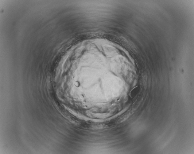 X0000073930757200609011834