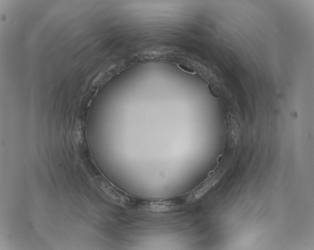 X0000073930758200609011834