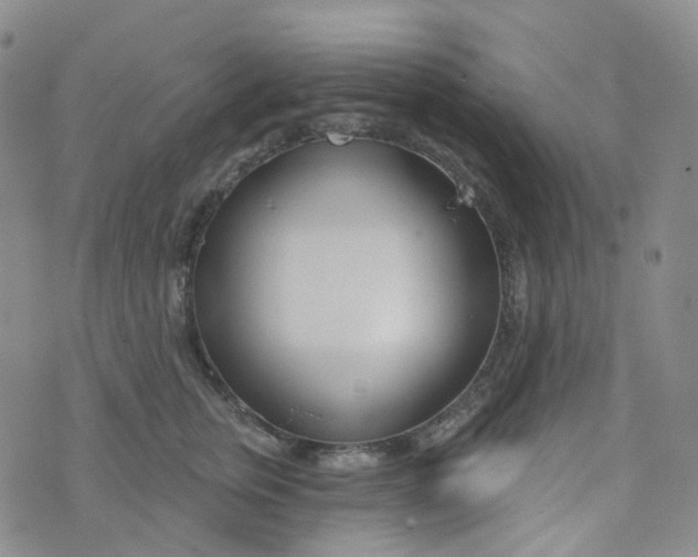 X0000073930759200609011834