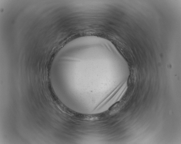 X0000073930760200609011834