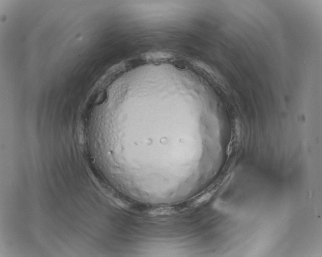 X0000073930761200609011834