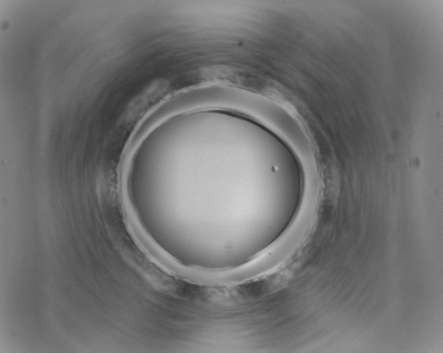 X0000073930762200609011834