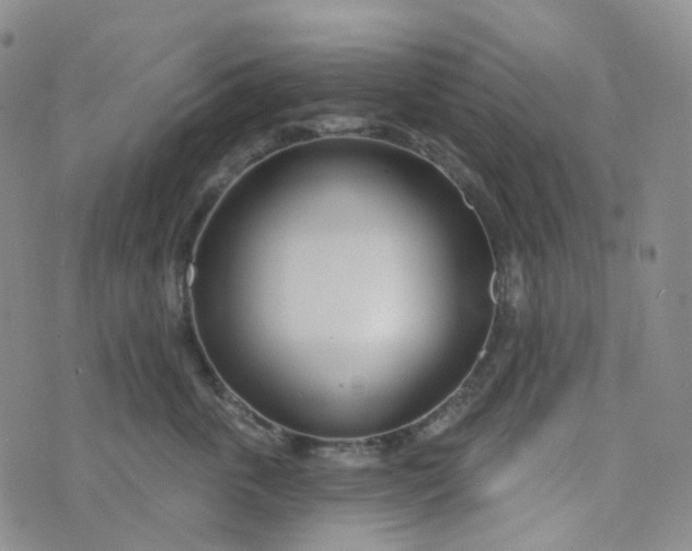 X0000073930763200609011834