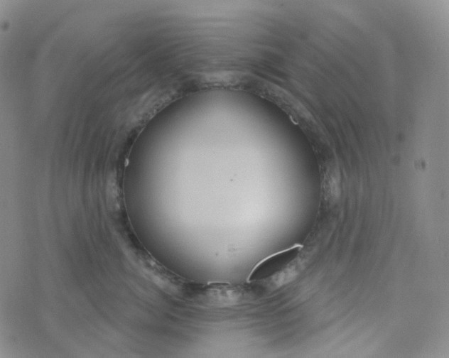 X0000073930764200609011834