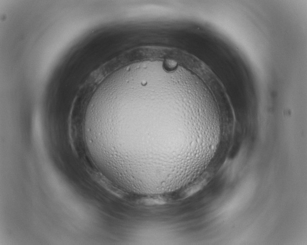 X0000073930765200609011834