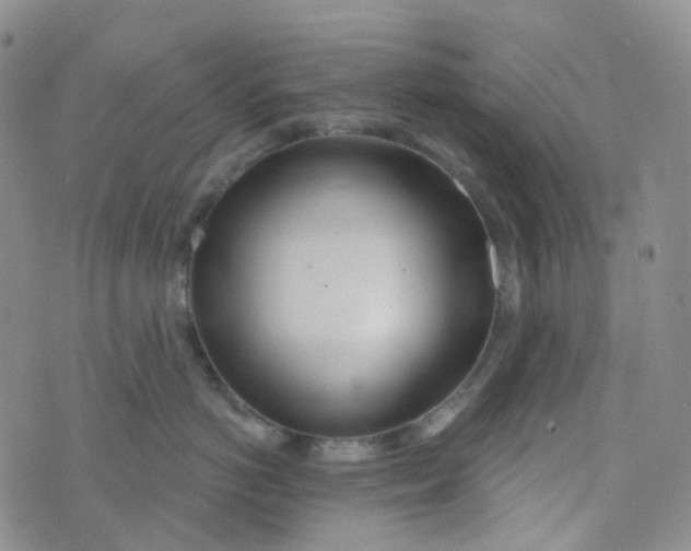 X0000073930766200609011834