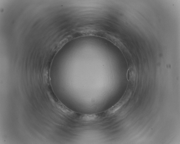 X0000073930767200609011834