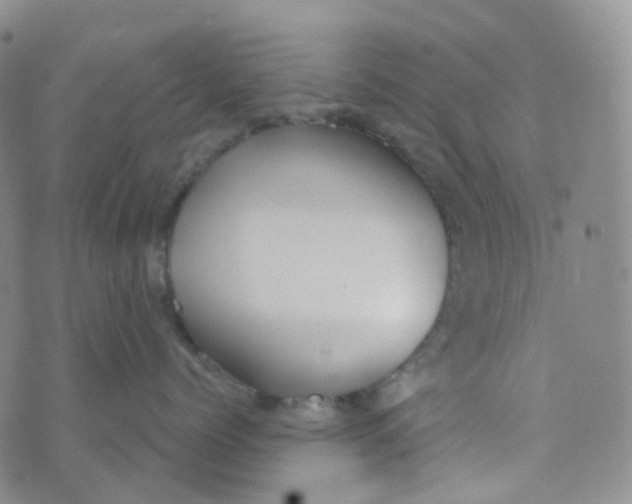 X0000073930768200609011834