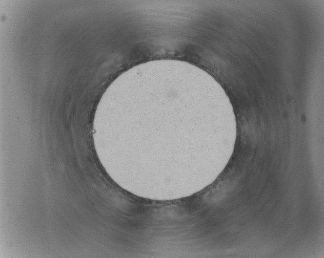 X0000073930769200609011833