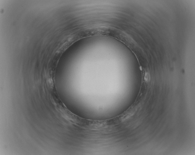 X0000073930771200609011833