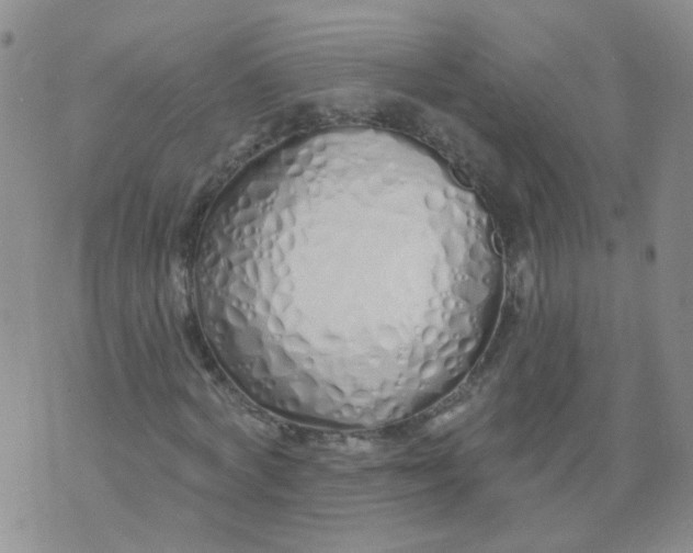 X0000073930772200609011833