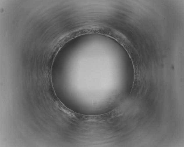 X0000073930773200609011833