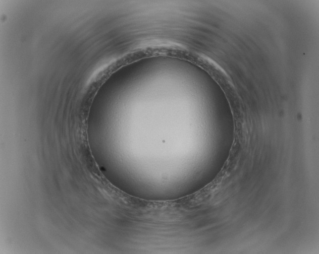 X0000073930775200609011833