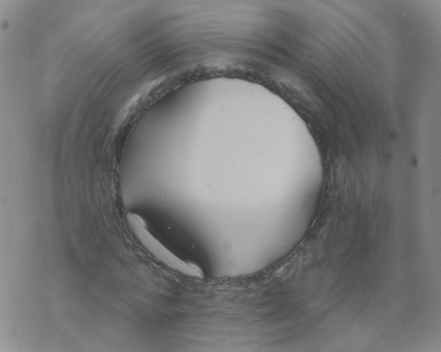 X0000073930776200609011833