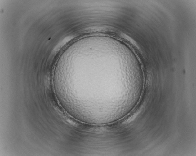 X0000073930778200609011833