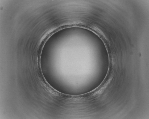 X0000073930781200609011833