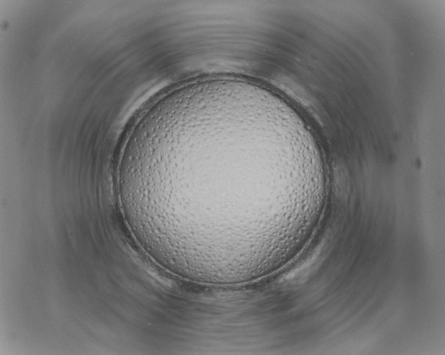 X0000073930782200609011833