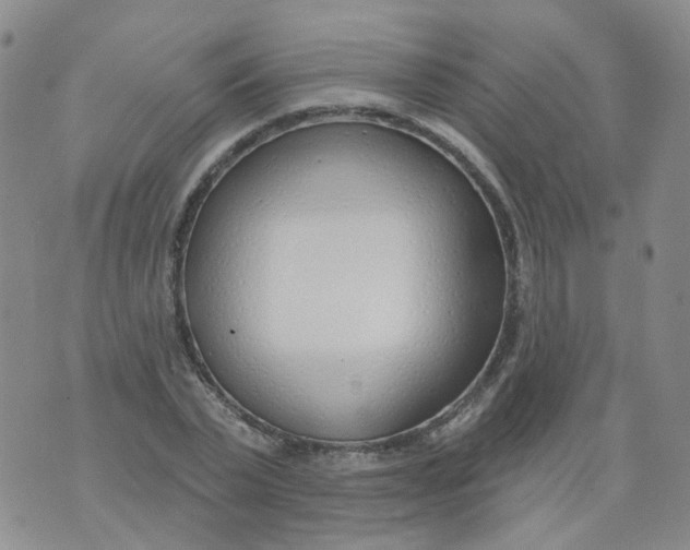 X0000073930783200609011833