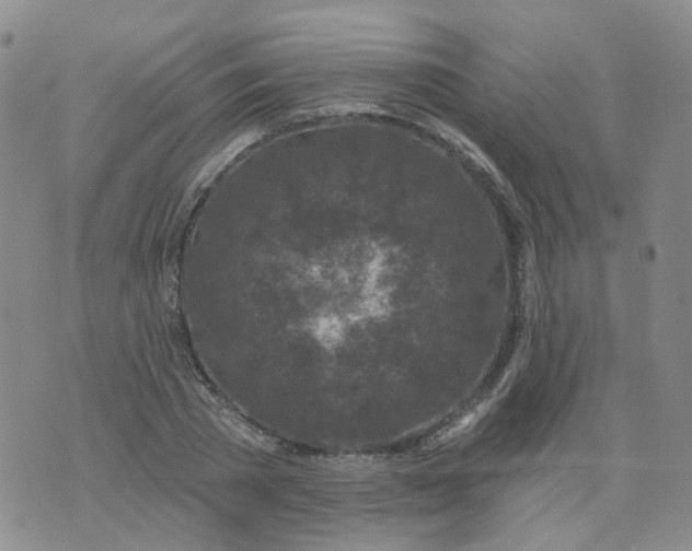 X0000073930785200609011833