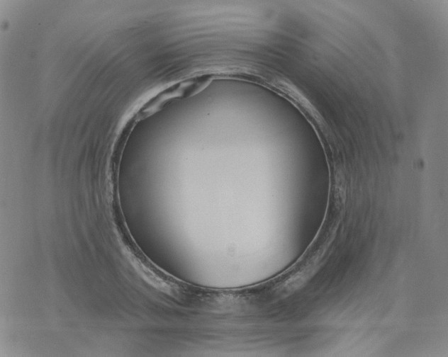 X0000073930787200609011833