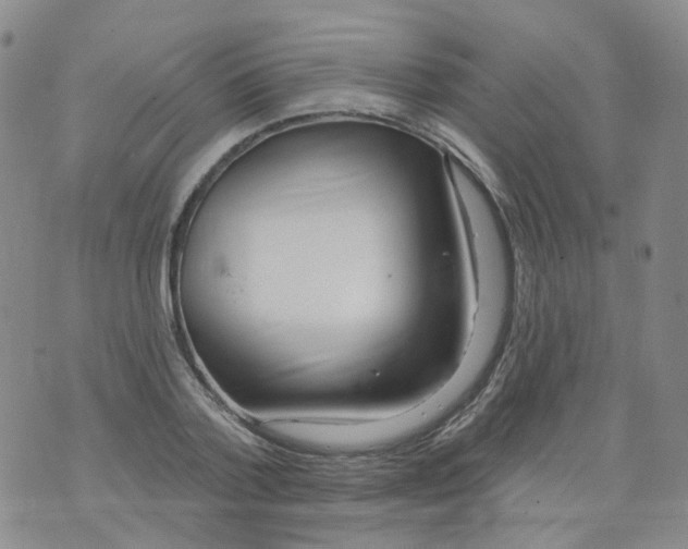 X0000073930788200609011833