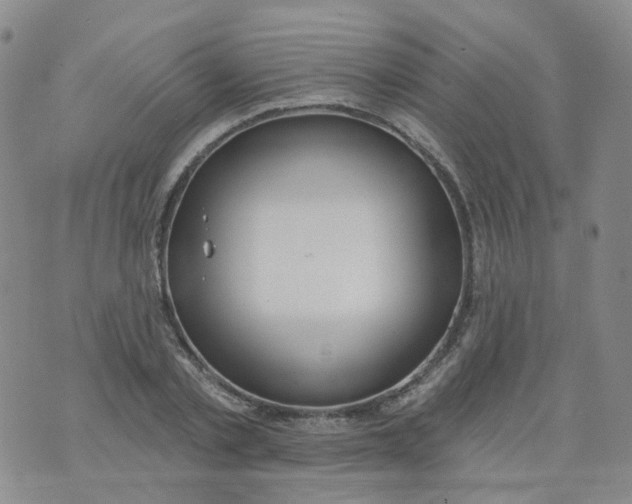 X0000073930789200609011833