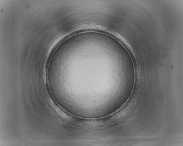 X0000073930791200609011833