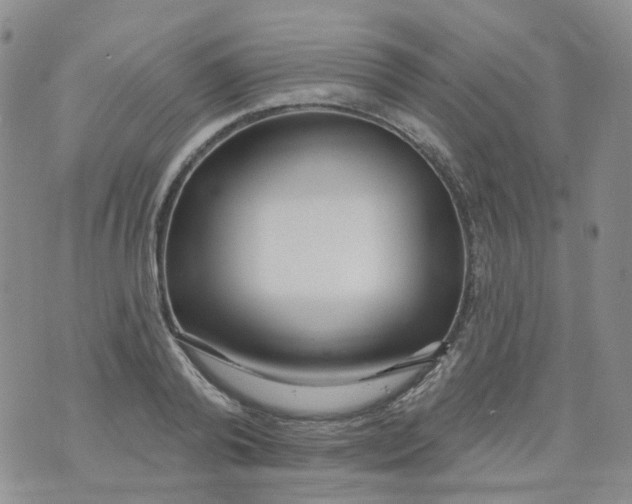 X0000073930792200609011833