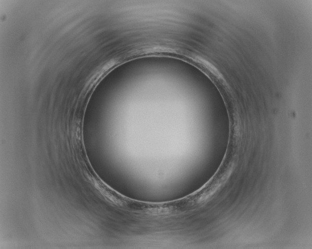 X0000073930793200609011833