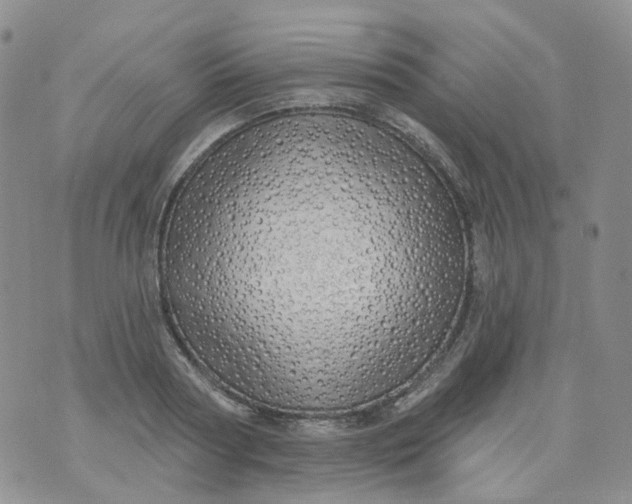 X0000073930794200609011833