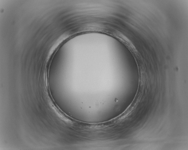 X0000073930796200609011833