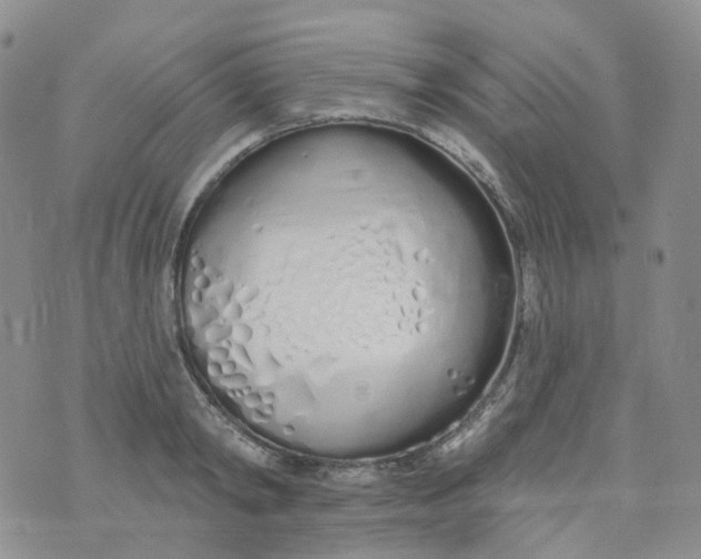 X0000073930798200609011833