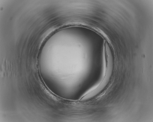 X0000073930799200609011833