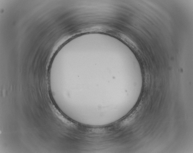 X0000073930800200609011833