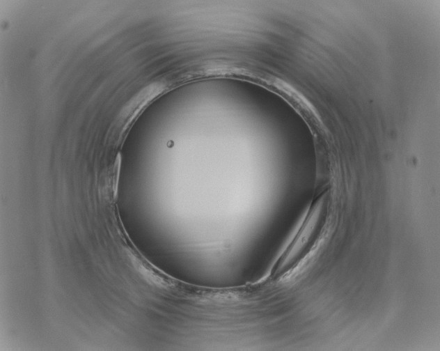 X0000073930801200609011833