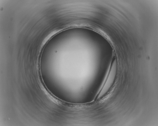 X0000073930803200609011833