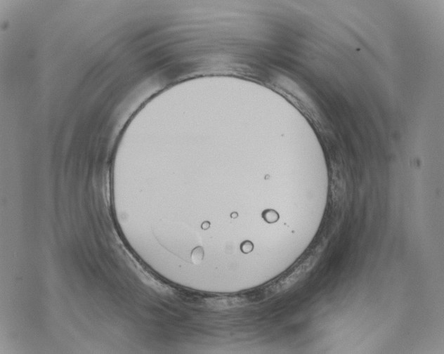 X0000073930804200609011833