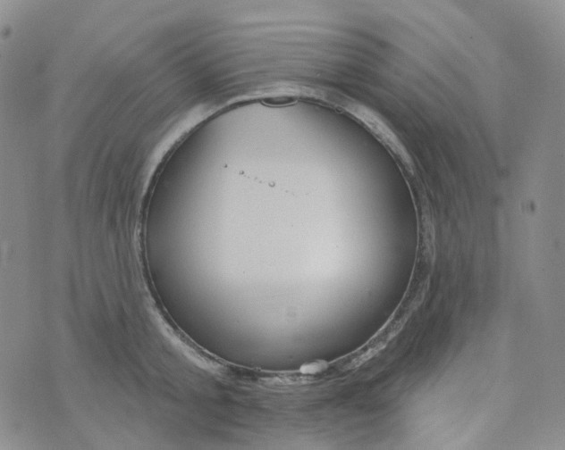 X0000073930805200609011833