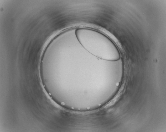 X0000073930807200609011833