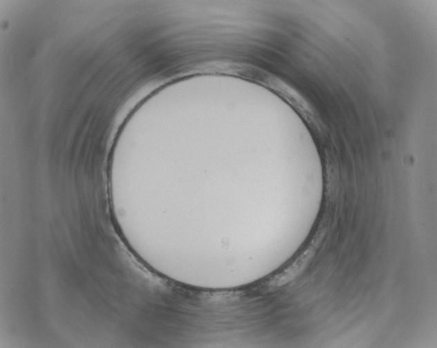 X0000073930808200609011833