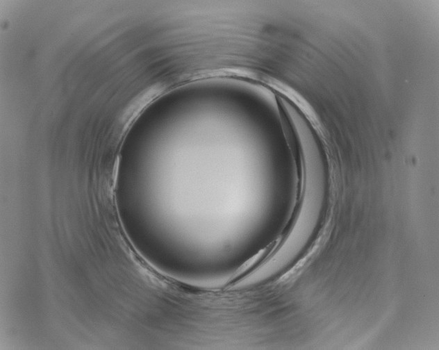 X0000073930809200609011833